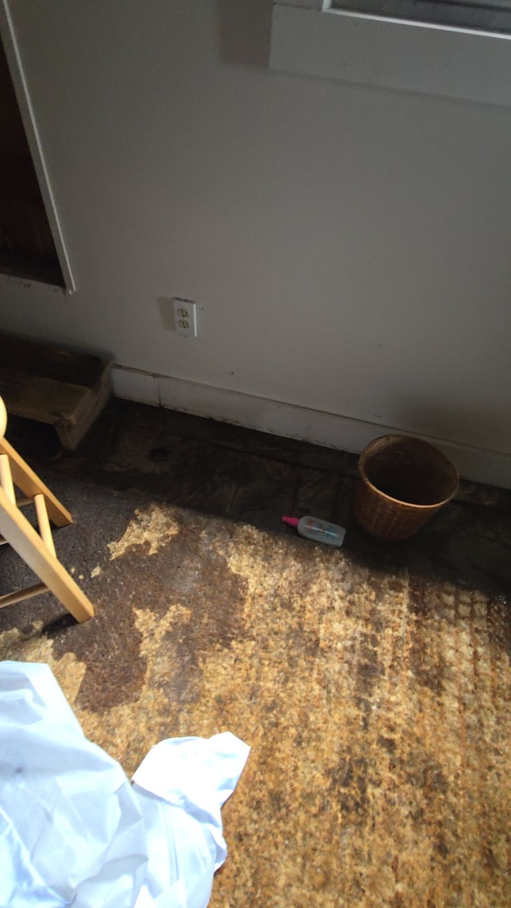 Water Damage Restoration